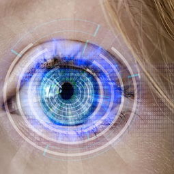 开云体育最新地址-训练负荷科学监测，训练负荷诊断